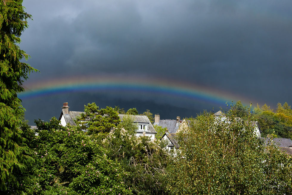 Rainbow