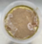 Análisis de la evolución del pH en Garums Cárnicos y Marinos