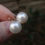 縮圖：Seathsea pearls 