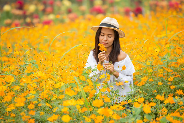 Asian-women-in-yellow-flower-farm.jpg