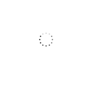 loading-icon-27.gif