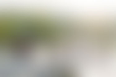 Wild In The City - Capturing Outdoor Adventure within the City Limits