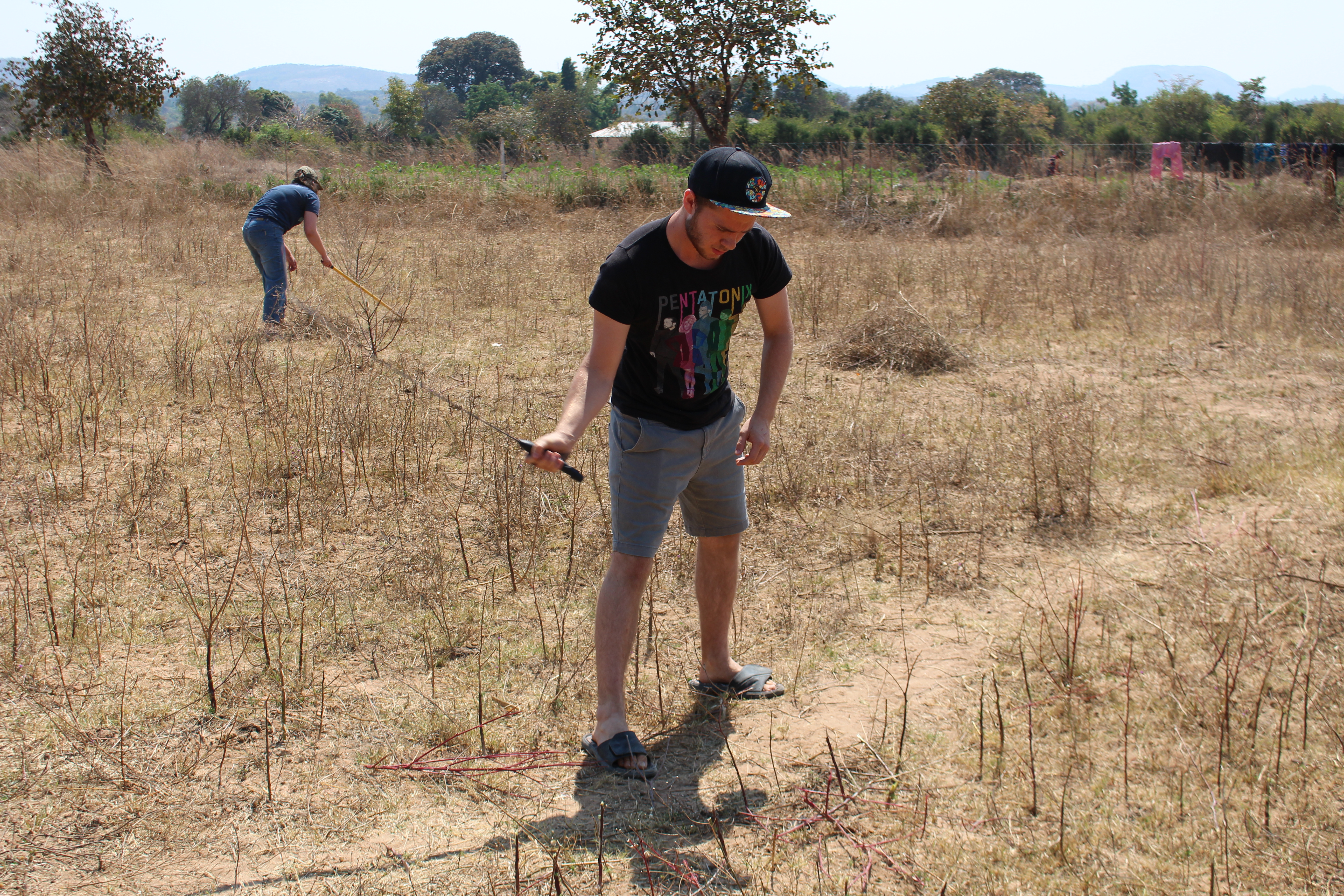 A team work day - slashing grass