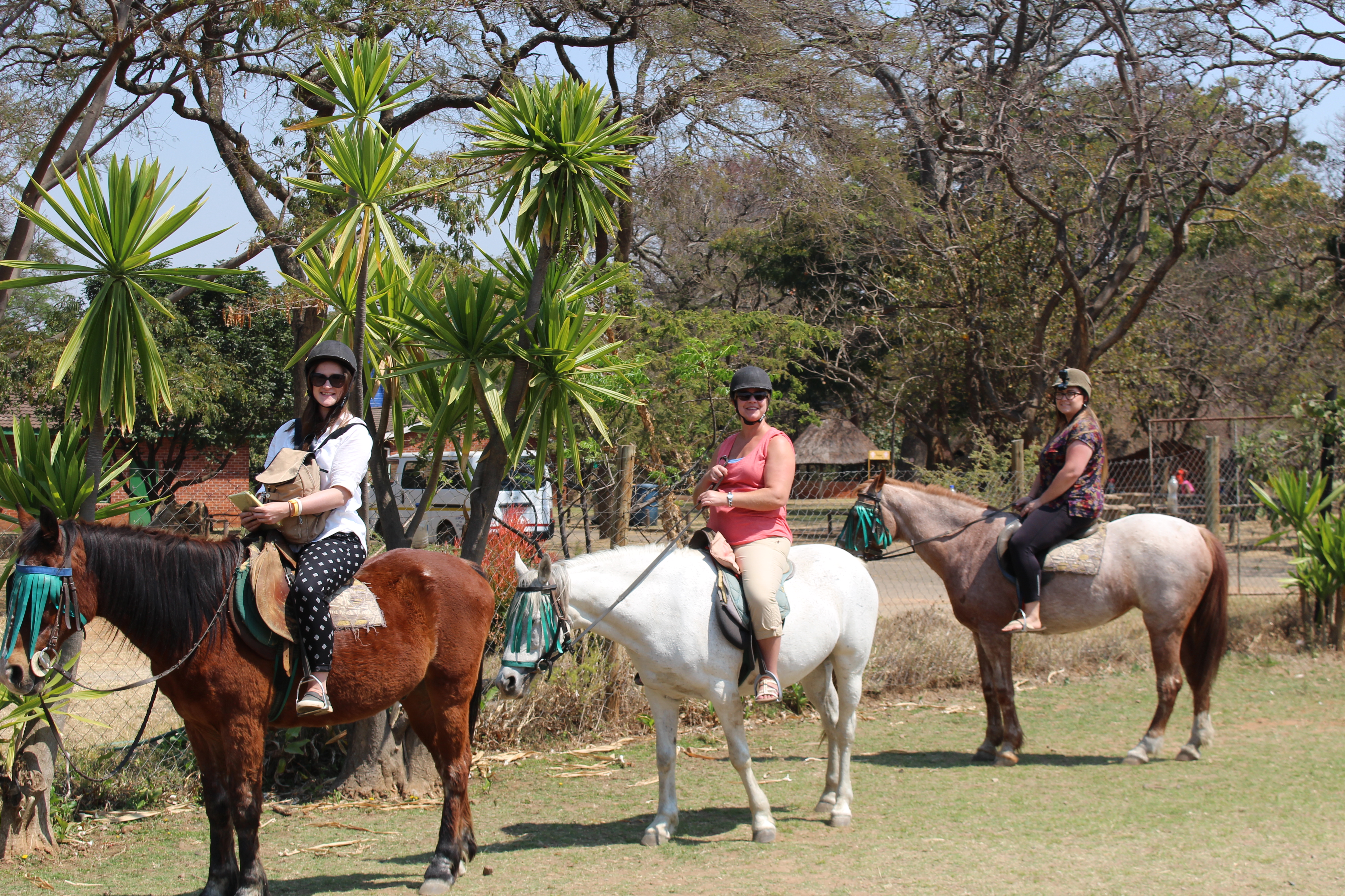Horseback safari ride