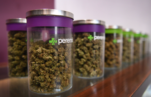 BEST MARIJUANA PRODUCTS OF 2017