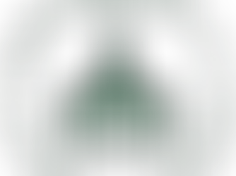 Students' quotes from St Marylebone C of E school, W1 having seen our first production 'A Merchant of Venice' in Nov/ Dec @Playground W10