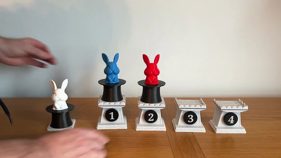 Miniature : Rabbit Prédiction
