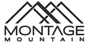 montagelogo.webp