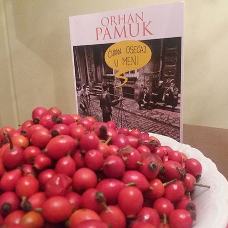 ORHAN PAMUK - ČUDAN OSEĆAJ U MENI