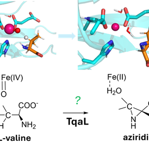 We are delighted that our paper has just been accepted for publication in PCCP