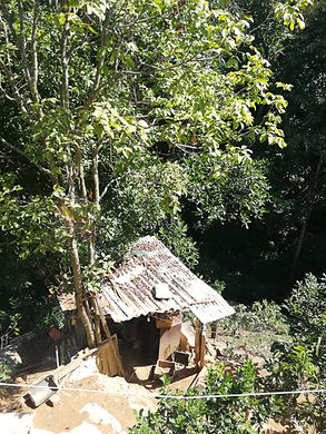 IMG_20190712_091733.jpg