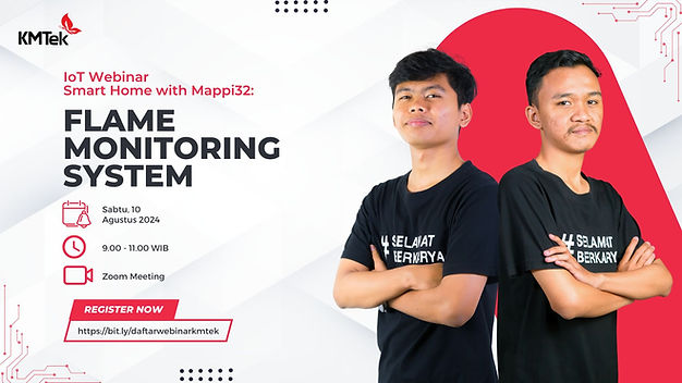 Flame Monitoring System - KMTek