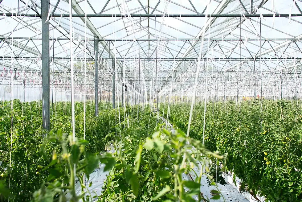 Agriculture_KMTek
