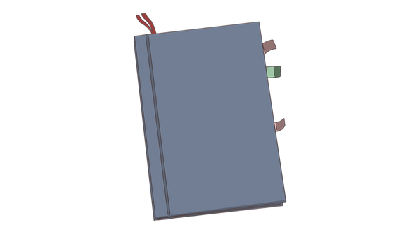 Liam.png