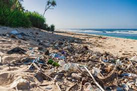 Why Does the Waste Problem Affect Tourism in Bali?