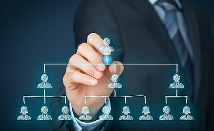 Structure & Organization.jpg