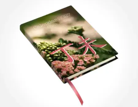 sk_website_produkte1_450x350.webp