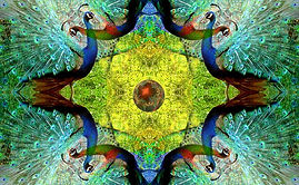 kaleidoscope-98361_960_720.jpg
