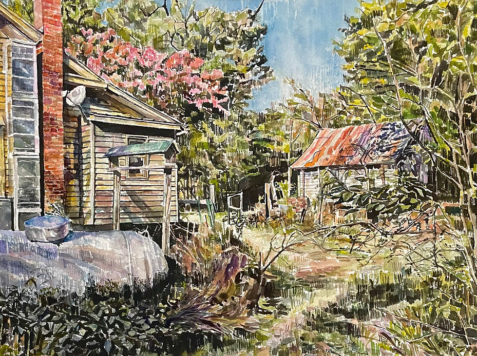 sunny shadows-derek.jpg