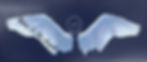 RbD logo wings_edited_edited.jpg