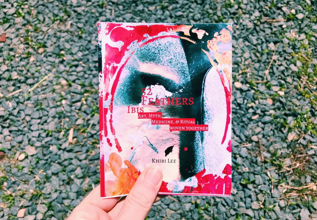 IBIS | 52 Feathers Zine | Vol XX