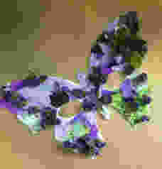 img_0570.jpeg