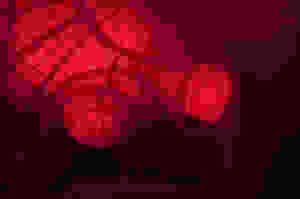 img (1)