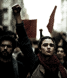 grain_comunicacao_website_territorios_cards_04_social.gif