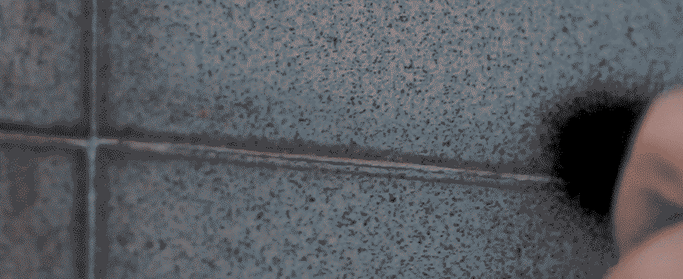 crls_site_header_gif_colorgin.gif