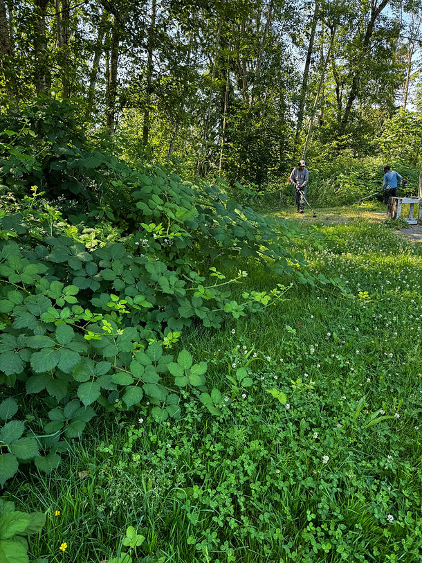 Property Maintenance VF EDIT 03.jpg