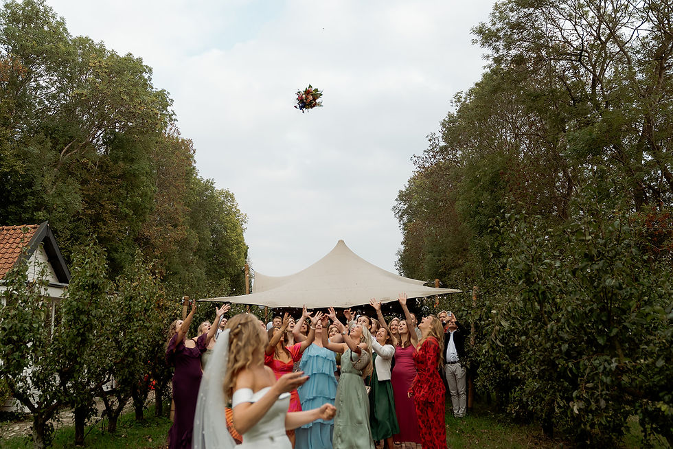 Bruiloft bij de Olmenhorst.jpg