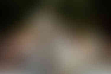 Buiten eten in de boomgaard tijdens bruiloft