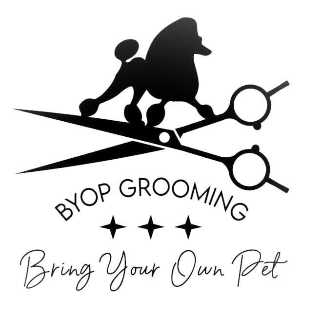BYOP Grooming pet grooming 1265 Clove Road Staten Island NY USA