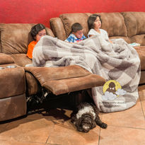 A very calm chocolate merle goldendoodle puppy being raised ethically in a loving home  by Dream A Little Doodle in Dallas, Tx.