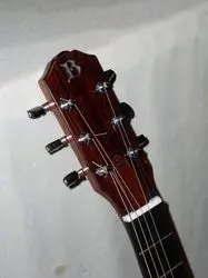 3c- Cocobolo & Sitka.webp