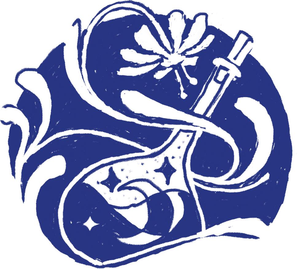 NA_LOGO_M_blau.png
