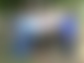 СПОРТ ОБ’ЄДНУЄ