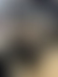 ПЕРЕМОГА В СТУДЕНТСЬКОМУ ІНТЕЛЕКТУАЛЬНОМУ КВІЗІ «СІК»