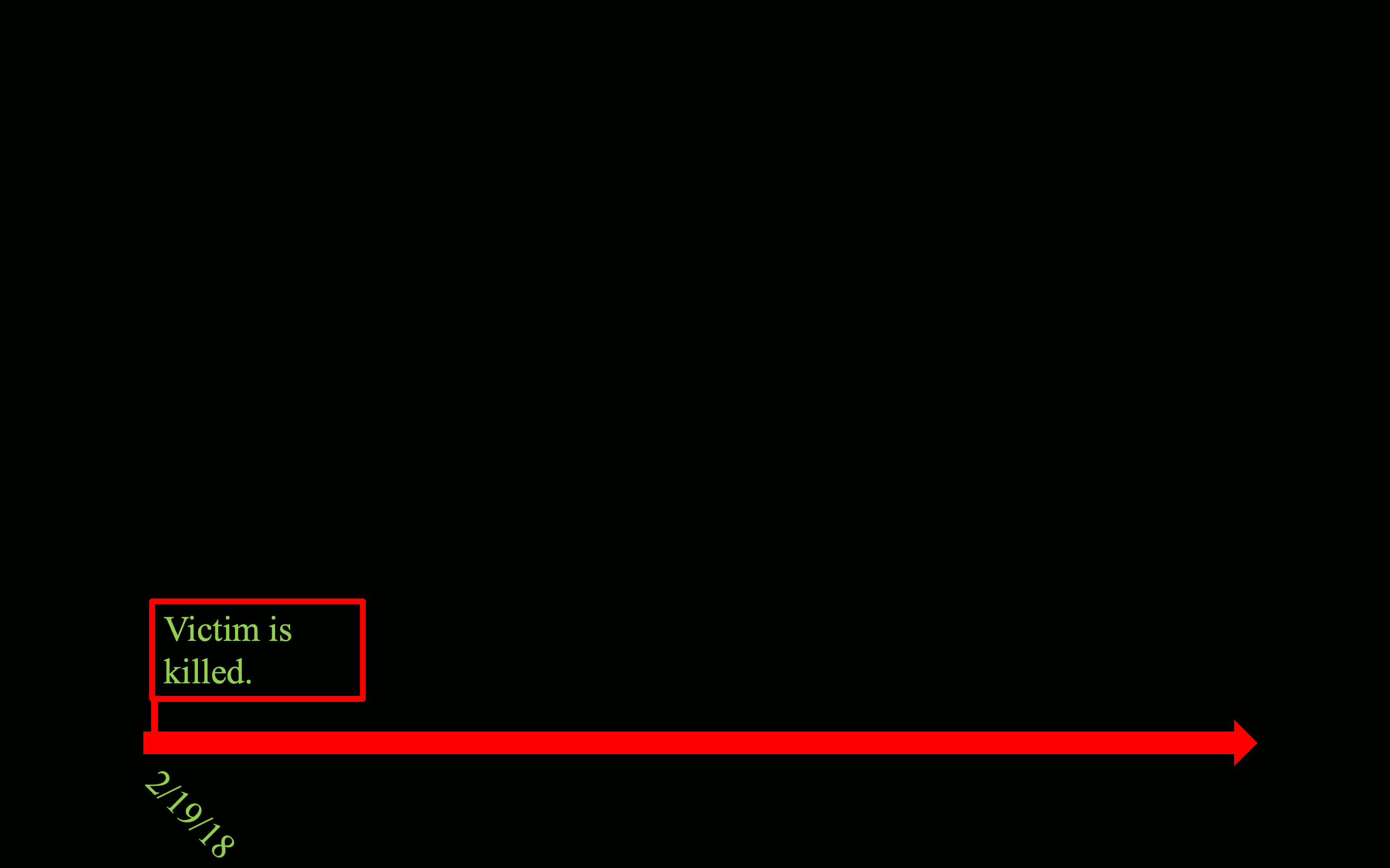 timeline_example1.gif