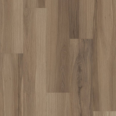 Almond Oak P1.jpg