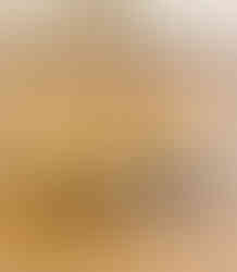 Dough cut into 4 pieces