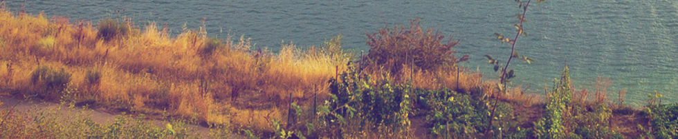 Mountain Lake