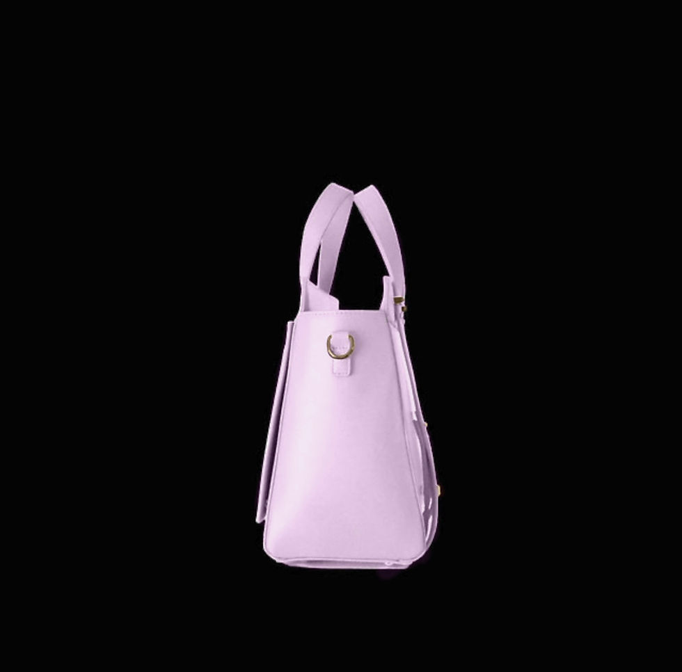 Thumbnail: SHELLY IEMBE BAG