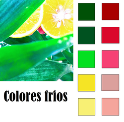 paleta de colores 2