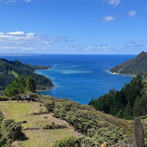 South to the Island of Rapa