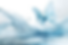 Butterfly on Water Logo possibility.png