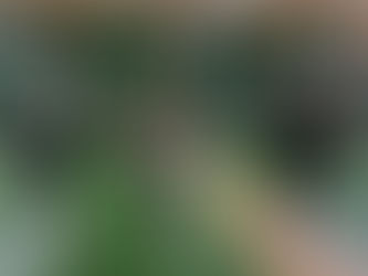 U17-15 Finnish Championships and Age Group Championships at Forever Matinkylä, 11-12 April - registration deadline Tue 31 March