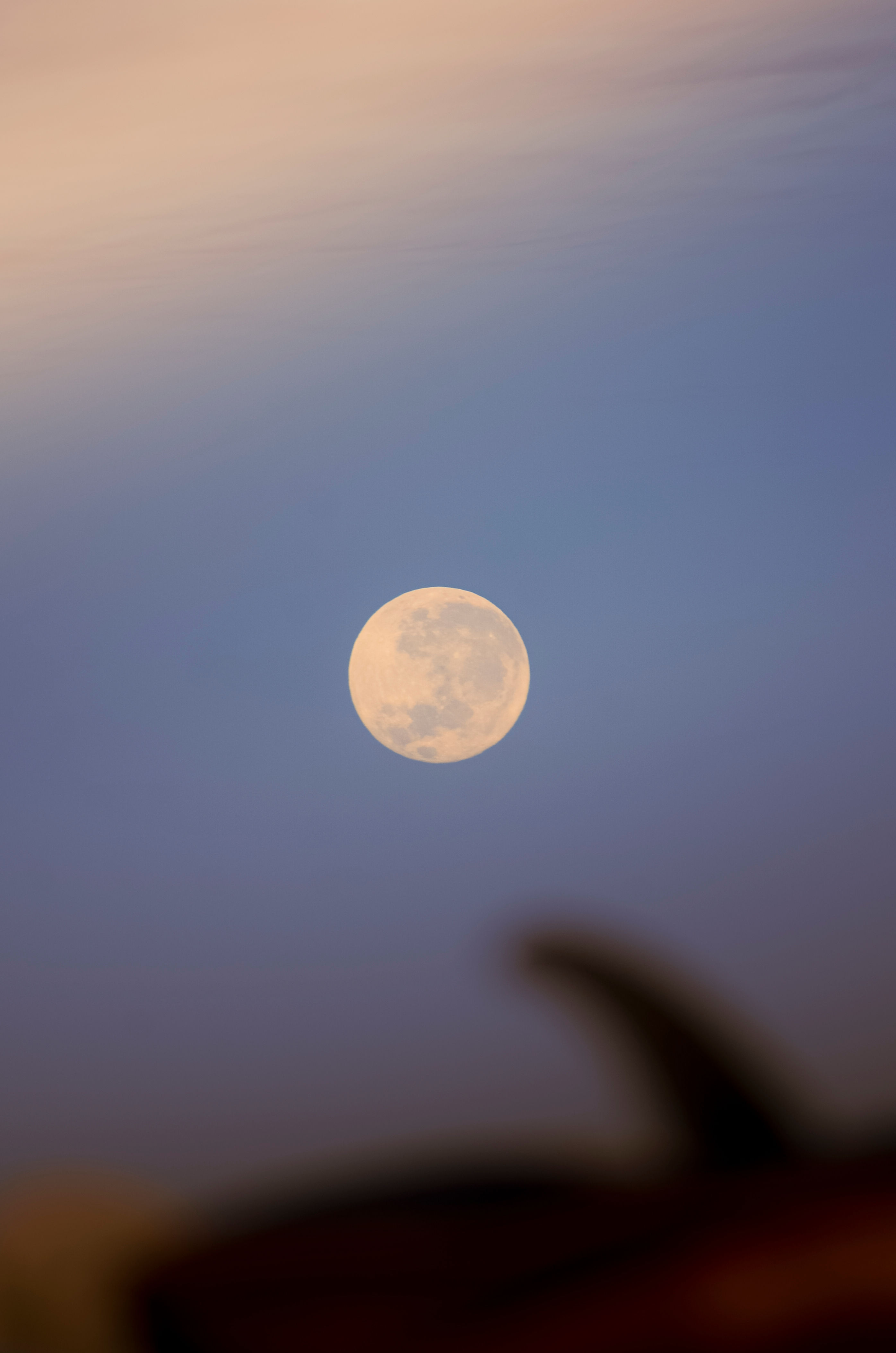 TO THE MOON AND BACK (Exmouth, WA)