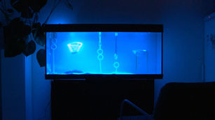 titlepic_playshrimpmansion.jpg