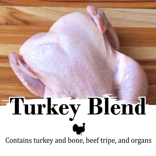 product photo for Cornerstone Meat and Bone Turkey Blend Dog Food